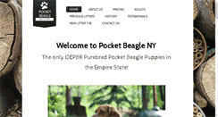 Desktop Screenshot of pocketbeagleny.com