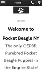 Mobile Screenshot of pocketbeagleny.com