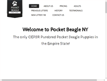 Tablet Screenshot of pocketbeagleny.com